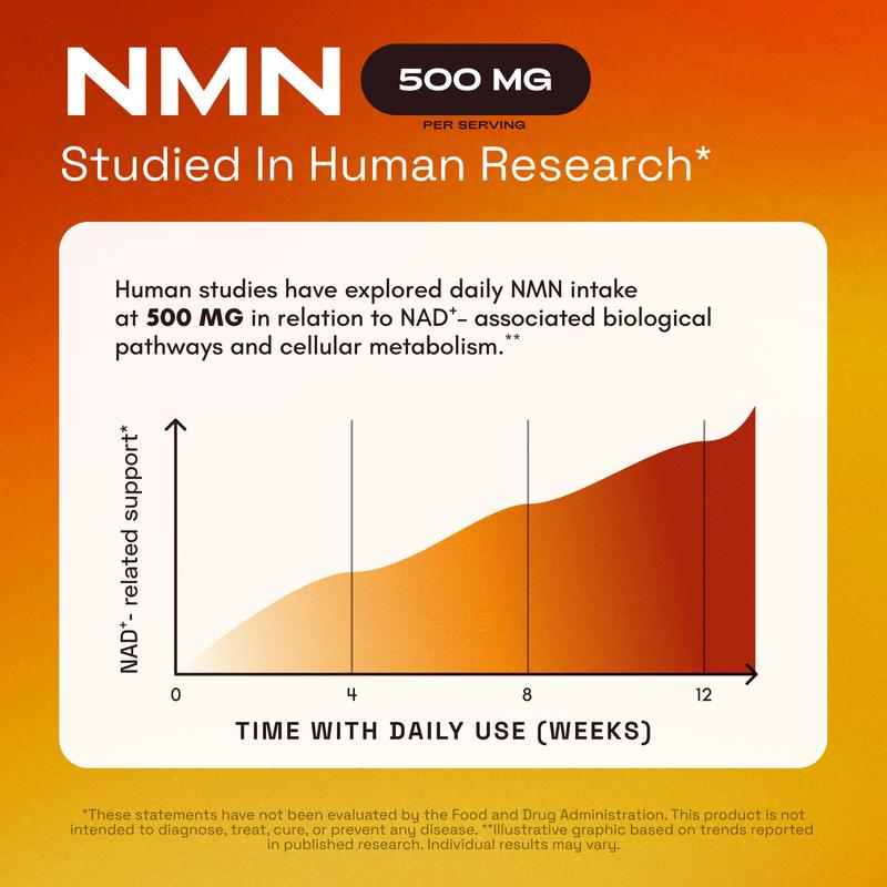 NMN Supplement – 1000 mg | Supports Cellular Energy & NAD+ Levels