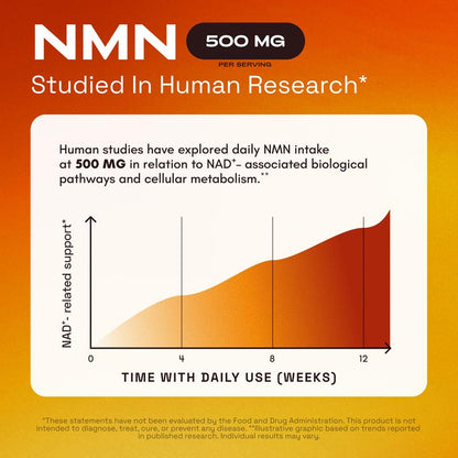 NMN Supplement – 1000 mg | Supports Cellular Energy & NAD+ Levels